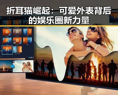 折耳猫崛起：可爱外表背后的娱乐圈新力量