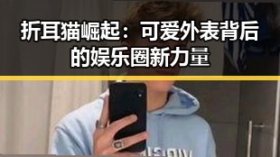 折耳猫崛起：可爱外表背后的娱乐圈新力量