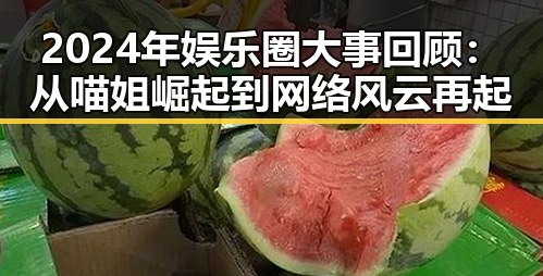 2024年娱乐圈大事回顾：从喵姐崛起到网络风云再起