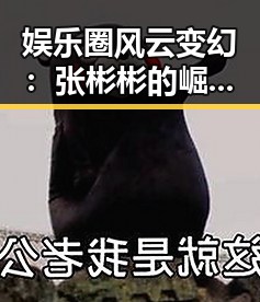 娱乐圈风云变幻：张彬彬的崛起与影视大事件回顾